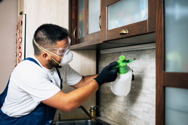 Best Residential Pest Control  in Ben Avon, PA