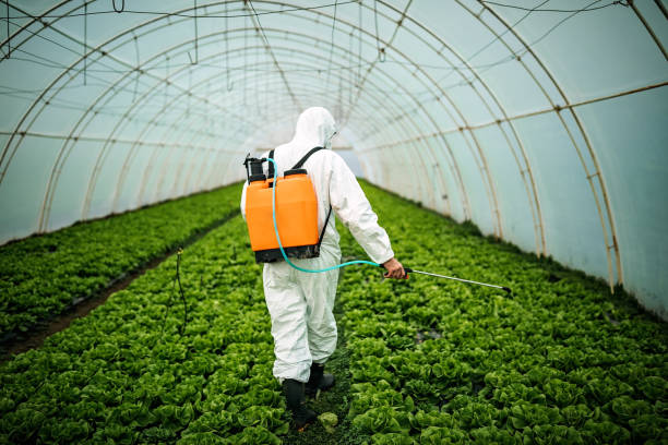 Best Mosquito Control Services  in Ben Avon, PA