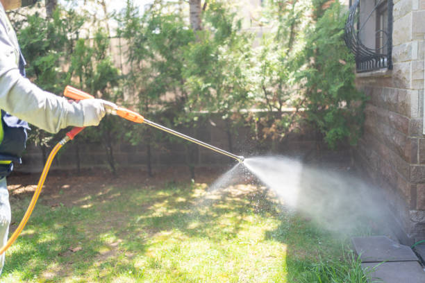 Best Wasp Removal Services  in Ben Avon, PA
