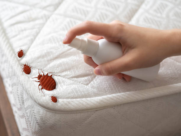 Best Affordable Pest Control Services  in Ben Avon, PA